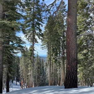 Meet your Posher, Anastasia